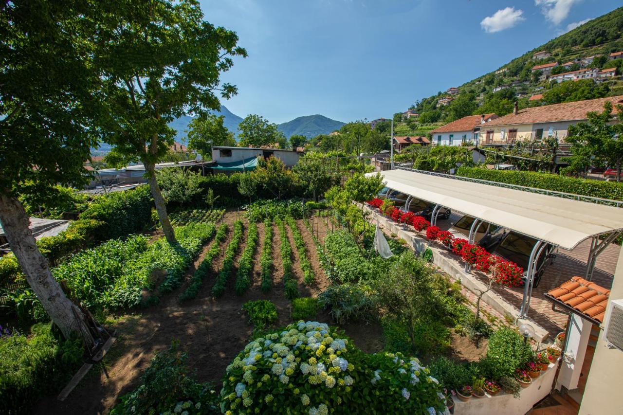 Nido Degli Dei Villa Agerola Exterior photo